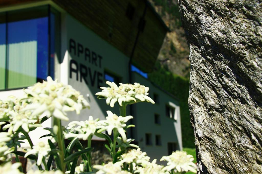 Appartement Apart Arve à Sankt Leonhard im Pitztal Extérieur photo